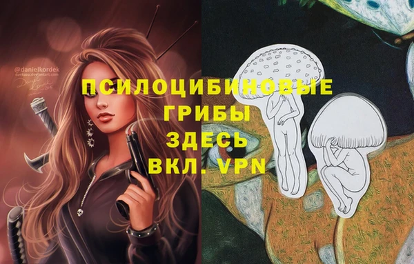прущие крисы Ельня