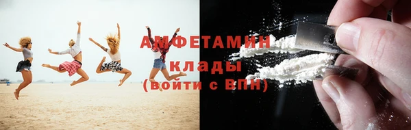 прущие крисы Ельня