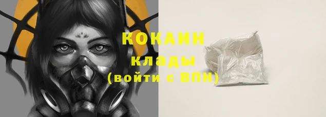 СК Елизово