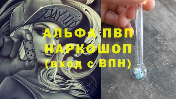 прущие крисы Ельня