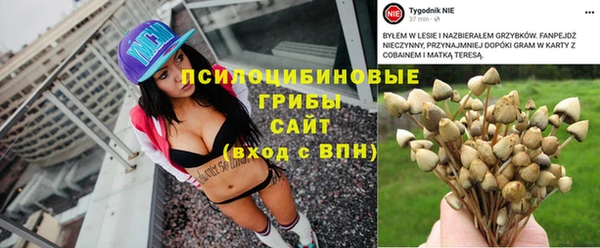 СК Елизово