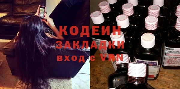 прущие крисы Ельня