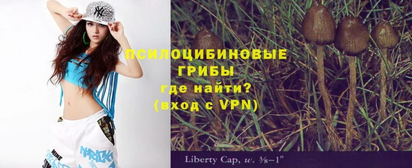 прущие крисы Ельня