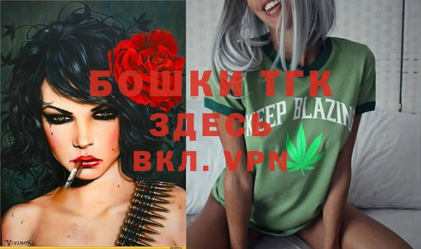 mdpv Елабуга