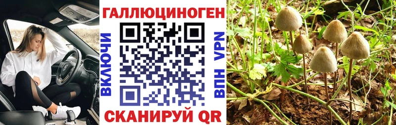 Псилоцибиновые грибы MAGIC MUSHROOMS  где найти   Ленинск-Кузнецкий 
